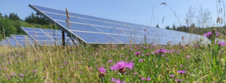 Enerige & Management > Photovoltaik - SWT übernehmen hessischen Solarpark