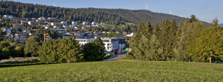 Enerige & Management > Windkraft Onshore - Auch in der Schweiz: Achtjährige Windkraft-Blockade