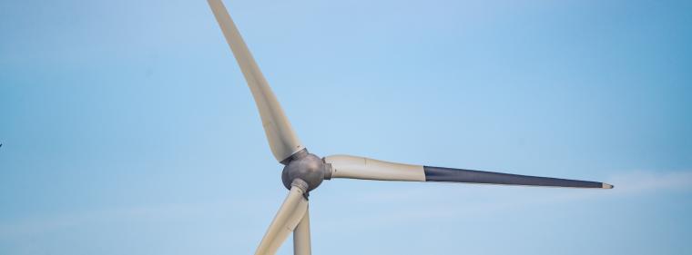 Enerige & Management > Windkraft - Schwarzes Rotorblatt soll Vögel schützen