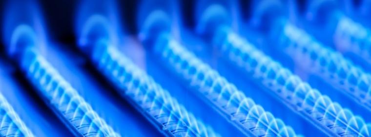 Enerige & Management > Gas - Zustimmung und Forderungen aus der Energiewirtschaft