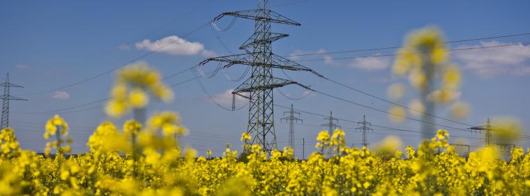 Enerige & Management > Stromnetz - 10.000 MW Erneuerbaren-Leistung bei Mitnetz Strom
