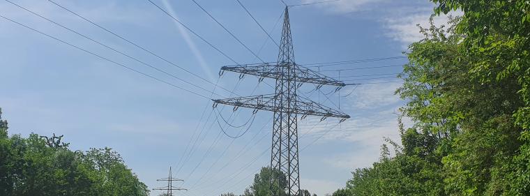 Enerige & Management > Stromnetz - Bundeszuschüsse auch für Verteilnetze gefordert