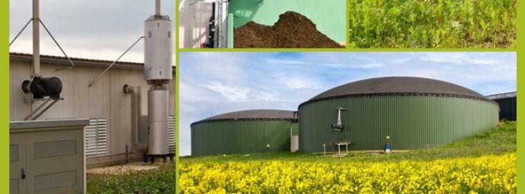 Enerige & Management > Biogas - Allein in Niedersachsen: Fast 6.000 grüne Kraftwerke abgeregelt