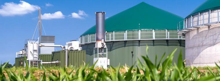 Enerige & Management > Biomasse - Bioenergieanlagen befürchten Terminschwierigkeiten