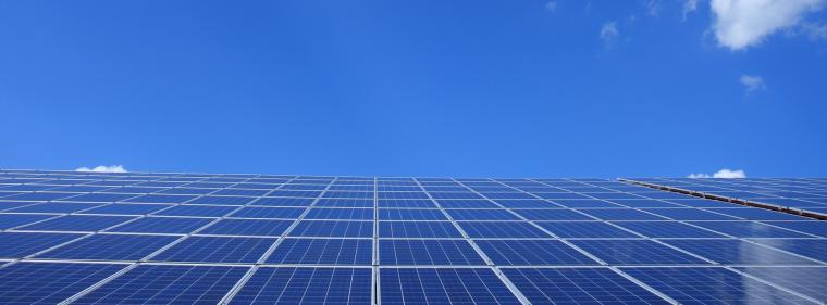 Enerige & Management > Photovoltaik - Abnehmer für Strom aus Agri-PV-Park gefunden