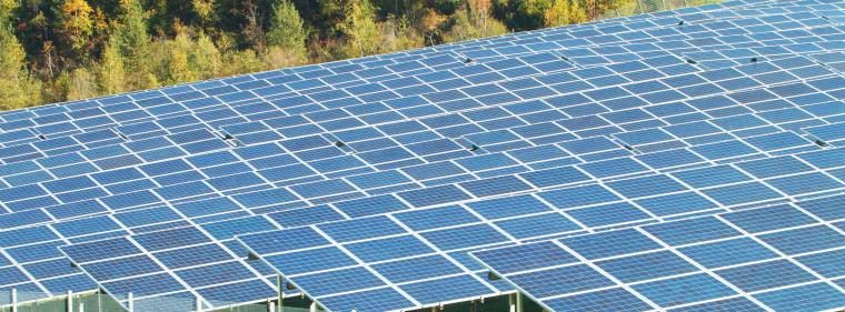 Enerige & Management > Photovoltaik - EDF baut Grünstrom-Engagement in Deutschland aus
