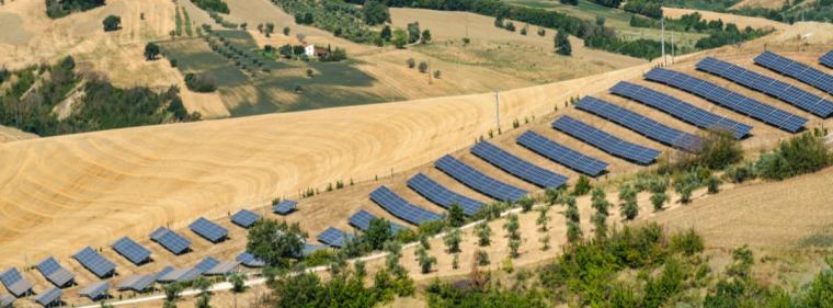 Enerige & Management > Photovoltaik - Von Agrarfläche zu PV-Biodiversitätspark
