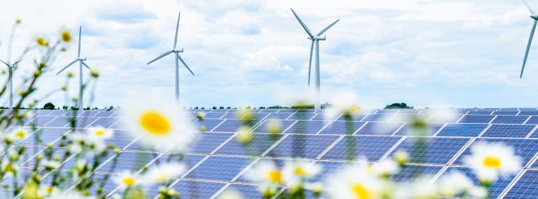 Enerige & Management > Regenerative - Fünf Prozent mehr Strom aus Erneuerbaren