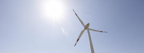 Windkraft Onshore: Waldwind bleibt Spaltpilz bei Ökobewegten in NRW