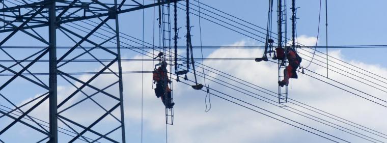 Enerige & Management > Strom - Regulierer widersprechen Netzbetreibern
